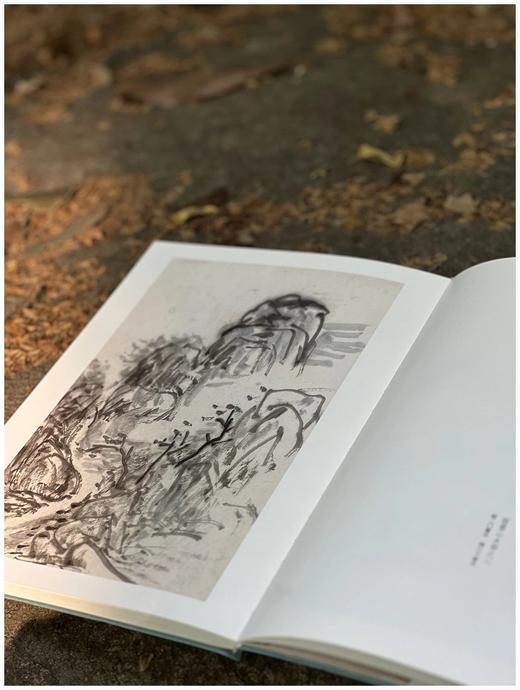 《黄宾虹墨迹》，软精装16开，黄宾虹著，浙江人民美术出版社2018年一版一印，定价120，售价108元。 商品图3