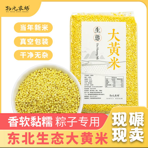 【包邮】【东北大黄米新米】来自吉林通化 人工种植 拒绝转基因与农药化肥  |天然黏糯 绵软弹牙 350g/包 商品图0