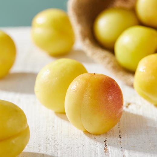 新疆空运小白杏 商品图3