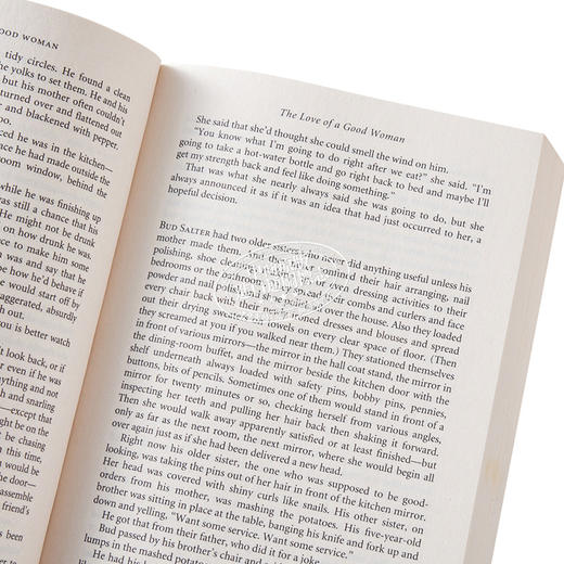 预售 【中商原版】艾丽斯 芒罗 故事选集合集 2本套装 英文原版 Selected Stories Alice Munro 诺贝尔文学奖得主 逃离 作者作品 商品图3