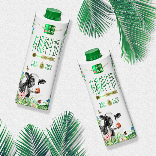 贵州特产山花有机纯牛奶220ml*10盒礼盒装贵州老字号 商品图2