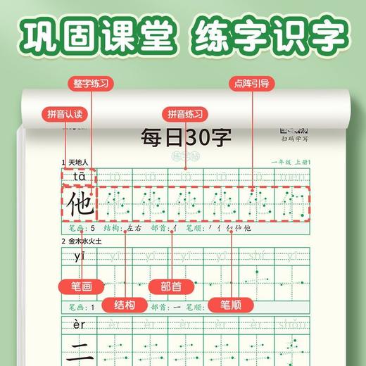 带笔顺的每日30字【减压练字帖】小学1-6年级同步课本生字点阵楷书字帖含笔画偏旁控笔含视频同步教学 商品图4