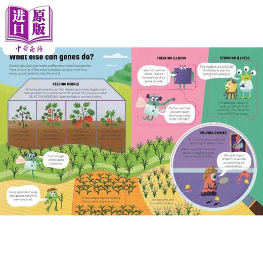 【中商原版】See Inside Genes and DNA 尤斯伯恩看里面:基因与DNA 英文原版 进口图书 儿童科普绘本 知识百科图书 精装童书 商品图3
