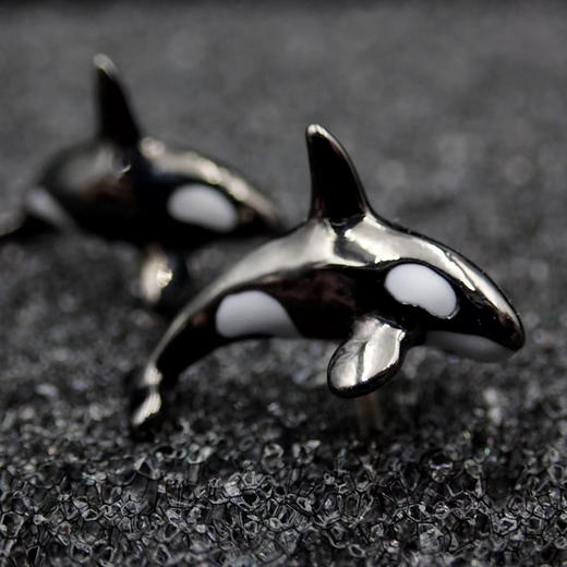 PADI Gear BLUE CELL 虎鲸项链/耳钉/戒指 商品图0