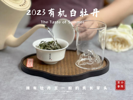 【2023春茶】2023有机白牡丹，牡丹王一般的秀长芽头，花香温柔，犹如添香的红袖 商品图8