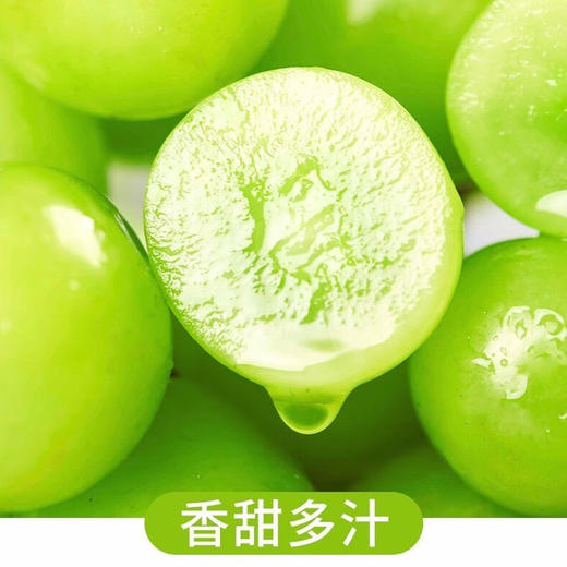 【特惠价】阳光玫瑰4.5斤彩箱装【分仓直发，72小时发货，周末节假日不发货】 商品图3