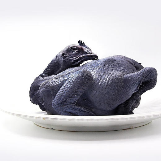 飞来峡乌凤鸡1kg 滋补营养 商品图3