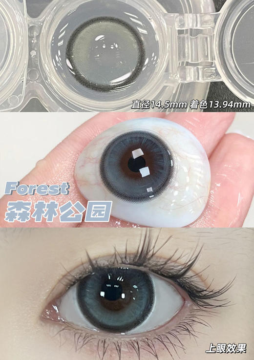 benibaby 月抛 森林公园 直径14.5mm着色13.94mm 商品图9