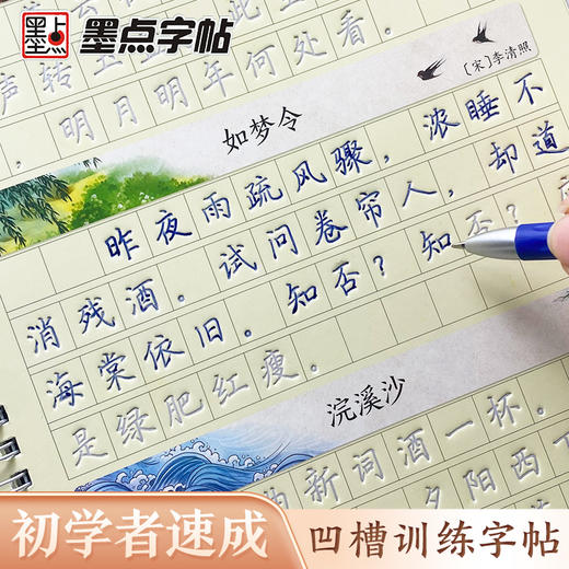 墨点字帖 练字宝 楷书凹槽练字帖3本初学者成人练字男生女生钢笔字速成字帖大学生专用反复练习可消失 商品图1
