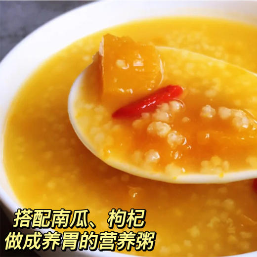 热卖【农家黄小米】 陕西米脂县农家种植，一年一茬，十月成熟新米，全家人食用的“养生米”，产妇、宝宝、老人、女性都适合吃！ 商品图5