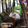 德国CATSBEST猫倍思猫砂｜进口天然杉木无粉尘吸水强除臭木屑易结团 商品缩略图1