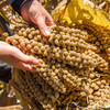 热卖【农家黄小米】 陕西米脂县农家种植，一年一茬，十月成熟新米，全家人食用的“养生米”，产妇、宝宝、老人、女性都适合吃！ 商品缩略图4