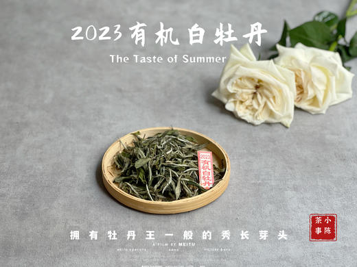 【2023春茶】2023有机白牡丹，牡丹王一般的秀长芽头，花香温柔，犹如添香的红袖 商品图0