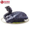 飞来峡乌凤鸡1kg 滋补营养 商品缩略图5