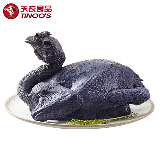 飞来峡乌凤鸡1kg 滋补营养 商品图5