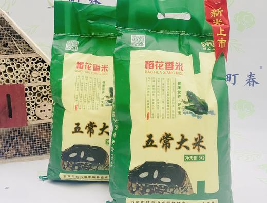 蛙石山大米袋装5kg（2025新米） 商品图0