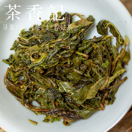 茶香记 白莺山单株独树生普023 普洱 古树茶 花蜜香  清甜爽滑 商品图4