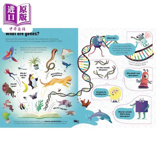 【中商原版】See Inside Genes and DNA 尤斯伯恩看里面:基因与DNA 英文原版 进口图书 儿童科普绘本 知识百科图书 精装童书 商品图2