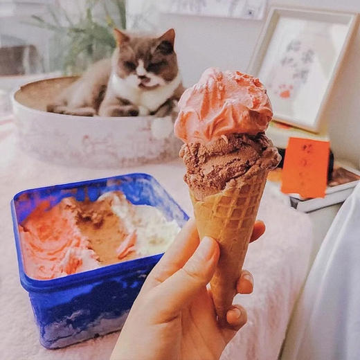 【TIPTOP那不勒斯三色冰淇淋】新西兰巴氏鲜奶和鲜奶油制作，大盒装，吃的更爽，100%新西兰原装进口的鲜奶冰淇淋，全网卖爆的冰淇淋 商品图2