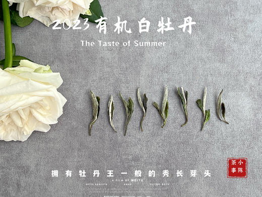 【2023春茶】2023有机白牡丹，牡丹王一般的秀长芽头，花香温柔，犹如添香的红袖 商品图3