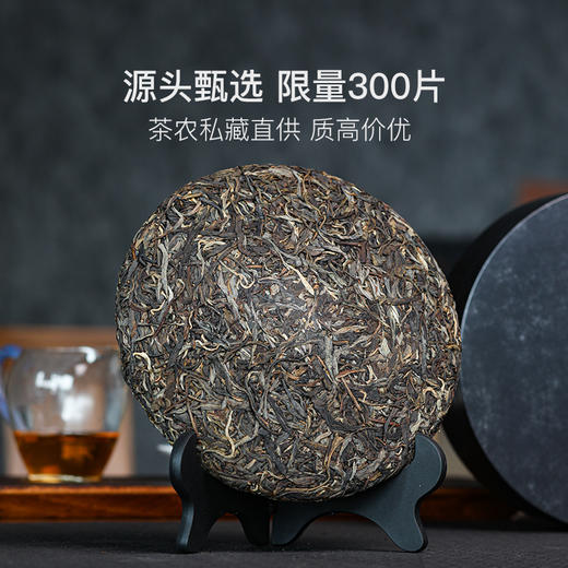 普洱茶中的皇后，2015年老冰岛400g/饼 商品图4