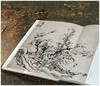 《黄宾虹墨迹》，软精装16开，黄宾虹著，浙江人民美术出版社2018年一版一印，定价120，售价108元。 商品缩略图2