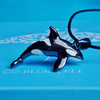 PADI Gear BLUE CELL 虎鲸项链/耳钉/戒指 商品缩略图1
