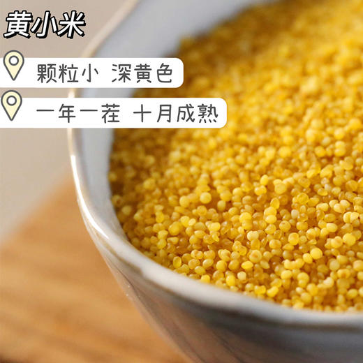 热卖【农家黄小米】 陕西米脂县农家种植，一年一茬，十月成熟新米，全家人食用的“养生米”，产妇、宝宝、老人、女性都适合吃！ 商品图7