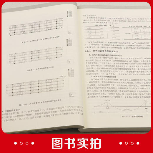 结构设计中的原理——清华大学建筑设计研究院经典项目解析 商品图4