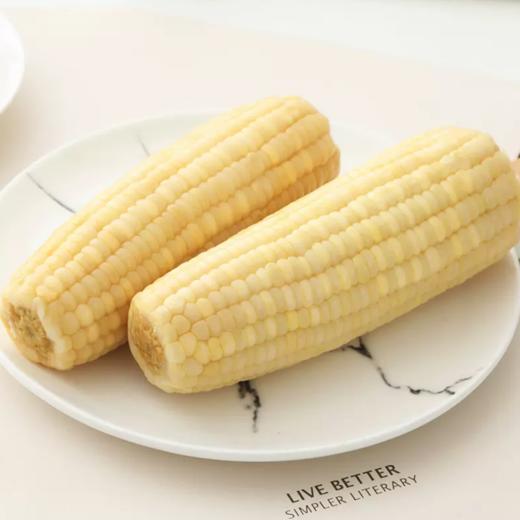 远系7号玉米杂交非转基因玉米 东北新鲜真空 甜粒糯粒1：1 商品图1
