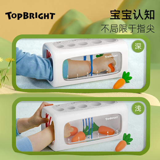 【趣学空间感 小手忙不停】TOPBRIGHT特宝儿忙碌空间认知筒小菜园塞塞乐 宝宝趣味菜园 拔萝卜益智玩具 启蒙3大空间认知 商品图3