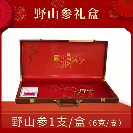 热卖【野山参】自然生长20年以上 商品图2