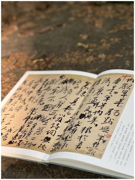 《黄宾虹墨迹》，软精装16开，黄宾虹著，浙江人民美术出版社2018年一版一印，定价120，售价108元。 商品图5