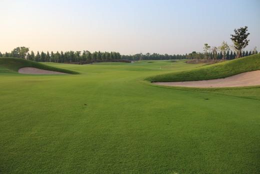 泰国赛高尔夫俱乐部  Sai Golf Club | 泰国高尔夫球场 俱乐部 | 曼谷高尔夫 商品图5