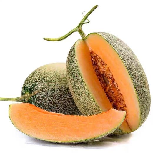 团购25元/2个脆甜沙地蜜瓜 商品图0