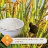 袁隆平鲜米（江南软香米）10千克 商品缩略图0