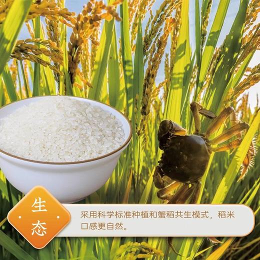 袁隆平鲜米（江南软香米）10千克 商品图0