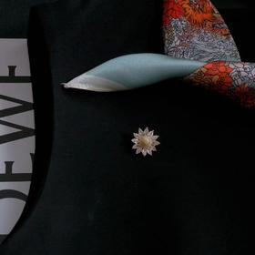 【甄珠贝】毕业季，53*53cm丝巾和别致小胸针的礼盒