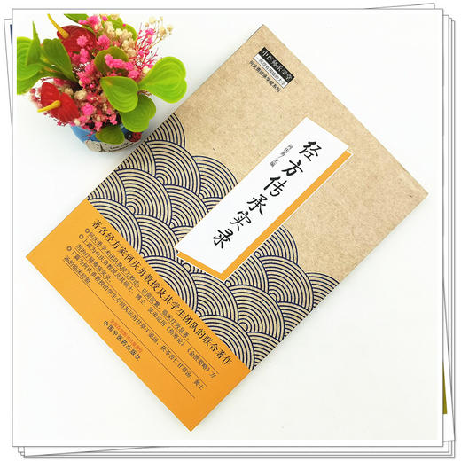 【出版社直销】经方传承实录 何庆勇 著 中国中医药出版社 中医师承学堂丛书  经方方剂学伤寒论金匮要略方剂治疗学书籍 商品图2