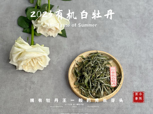 【2023春茶】2023有机白牡丹，牡丹王一般的秀长芽头，花香温柔，犹如添香的红袖 商品图1