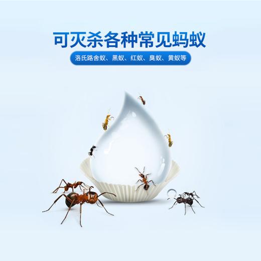 德国拜耳拜灭士蚂蚁药一窝端灭蚁清灭除杀蚁剂家用神器室内阳台蚂蚁清除 商品图3