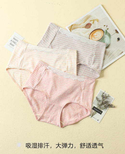 【爆款深度库存】50支棉彩纱女士舒柔棉中腰条纹无痕脚口内裤2901/2928/2929 商品图3