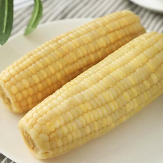 远系7号玉米杂交非转基因玉米 东北新鲜真空 甜粒糯粒1：1 商品图0