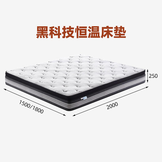 喜梦宝床垫抗菌防螨面料记忆棉25cm独立袋装弹簧软垫席梦思床垫 商品图0
