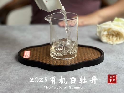 【2023春茶】2023有机白牡丹，牡丹王一般的秀长芽头，花香温柔，犹如添香的红袖 商品图9