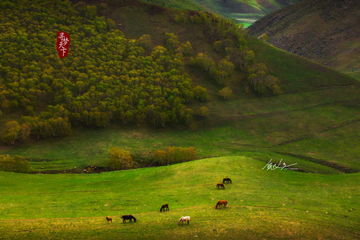 华北秋色：大红山•辉腾锡勒大草原•乌兰哈达火山群•谷力脑包火山遗址•大同土林•黄河大峡谷——老牛湾•万年冰洞•碛口古镇•波浪谷•雨岔峡谷•壶口瀑布•李家大院摄影6天—7天—11天 商品图4