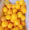 蒙阴黄金蜜桃 |山东水果 商品缩略图1