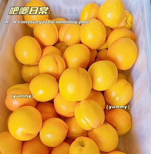 蒙阴黄金蜜桃 |山东水果 商品图1