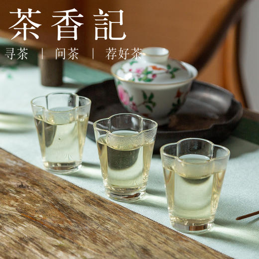 茶香记 白莺山单株独树生普023 普洱 古树茶 花蜜香  清甜爽滑 商品图5