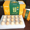 【山林有机鸡蛋】礼盒富硒品质，0农残，0重金属，0色素，山林散养，经过清洗消毒杀菌等步骤，有机认证，实实在在看得见的“安心蛋”！下单套餐联系客服分批发货，没有时间限制~ 商品缩略图0